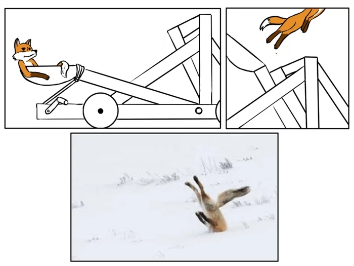 foxapult - Comics, Background, Fox, Catapult, Mouse-bending