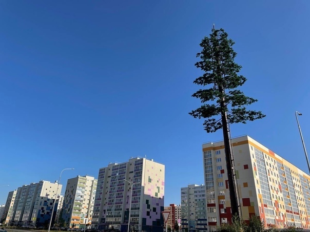 cell tower - My, Nizhnekamsk, Cell tower, Longpost