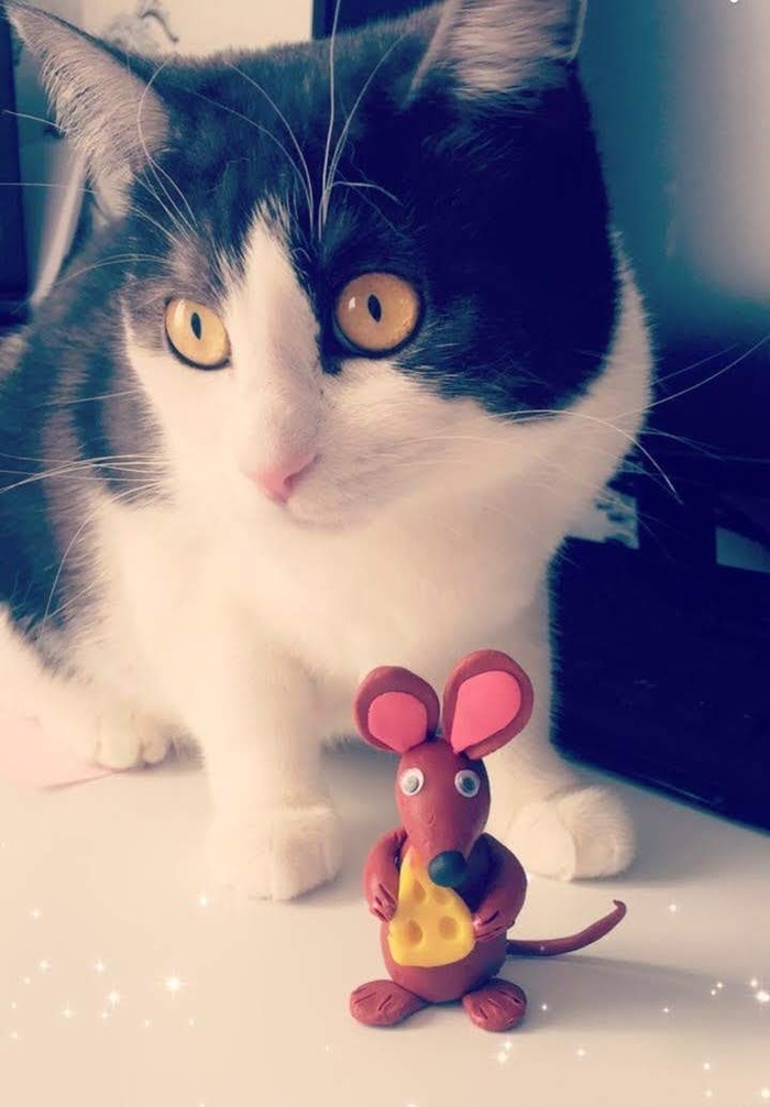 ��� ��������� ��������