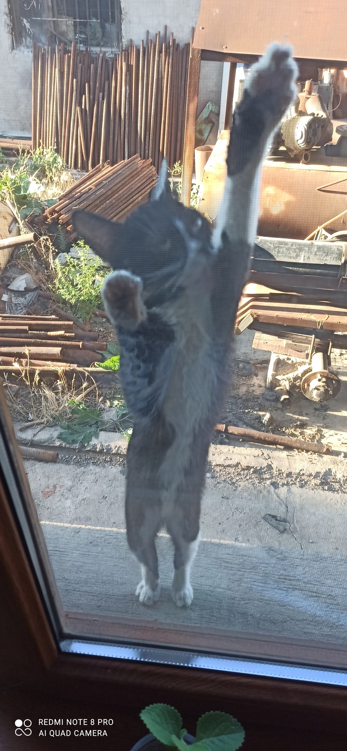 �� ������ �� ����