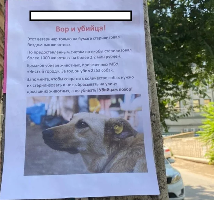 Here is an ad posted in Astrakhan by animal rights activists - My, Animal protection, Animals, Negative, Homeless animals, Vet, Announcement, Astrakhan