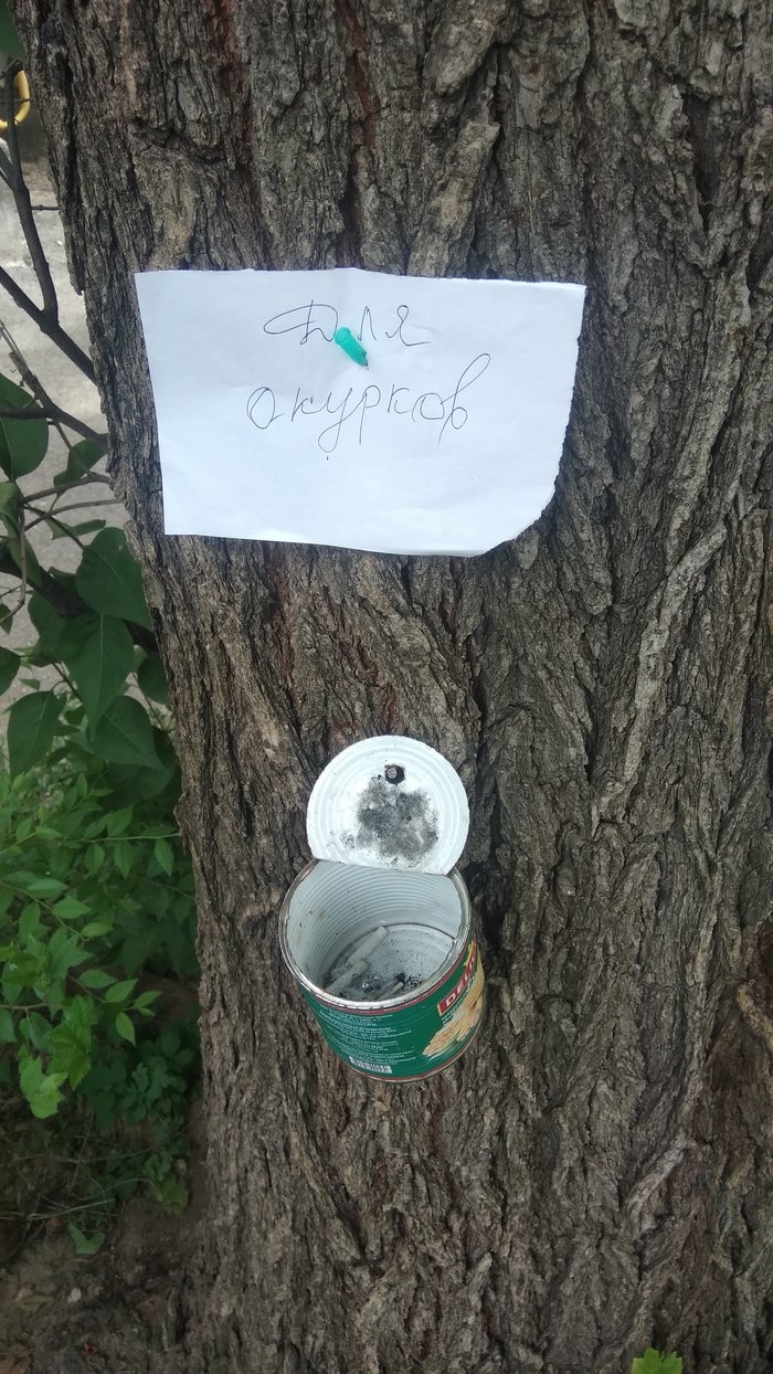 ������� �������