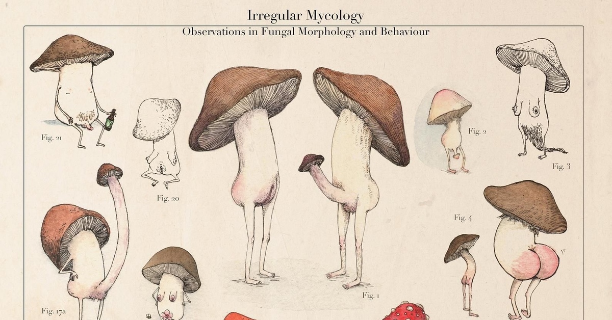 Funny mushroom science - NSFW, Mushrooms, Images, Humor, Penis, Nature, Sex