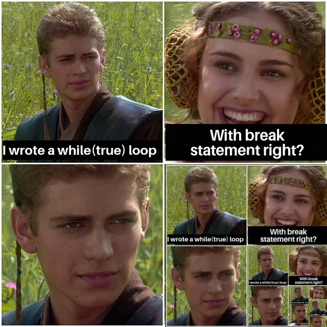 Strange, the program is not responding for some reason - Programming, Cycle, Anakin and Padme at a picnic, Bug, Reddit, Memes, Recursion