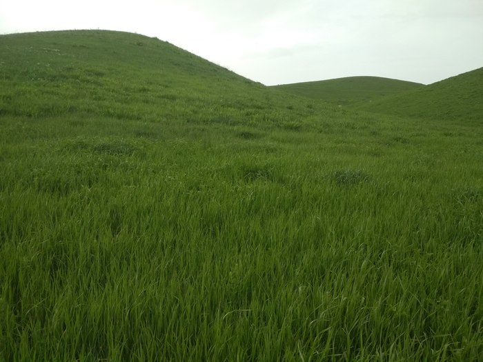 Пообщаемся?!