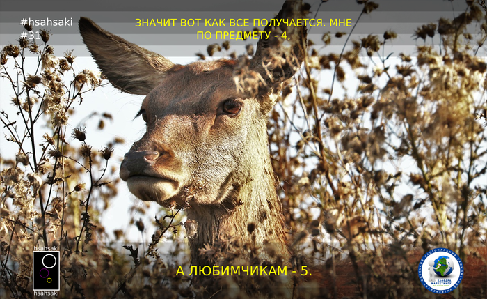 У меня должно было быть 5 баллов, а не 4