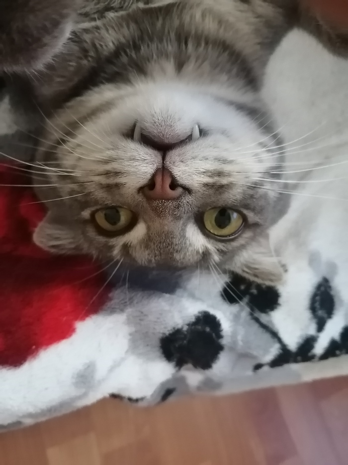    "  " ,  ,  ,   