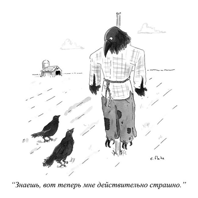 It's really scary - Comics, Scarecrow, Birds, The new yorker