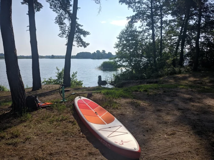 How I rafted the Voronezh River on a SUP board for 3 days - My, Alloy, River, Nature, Travels, Glanders, Sup, Hike, Summer, , Lipetsk, Voronezh, Longpost, SUPsurfing