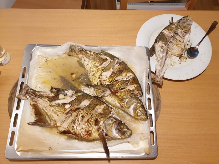 мой отец довольно таки заядлый рыболов. Смотреть фото мой отец довольно таки заядлый рыболов. Смотреть картинку мой отец довольно таки заядлый рыболов. Картинка про мой отец довольно таки заядлый рыболов. Фото мой отец довольно таки заядлый рыболов