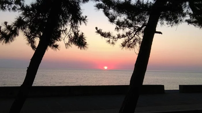 Sunset on the sea. We are leaving home - My, Relaxation, Georgia, Black Sea, Sunset, Embankment, Evening, Pine