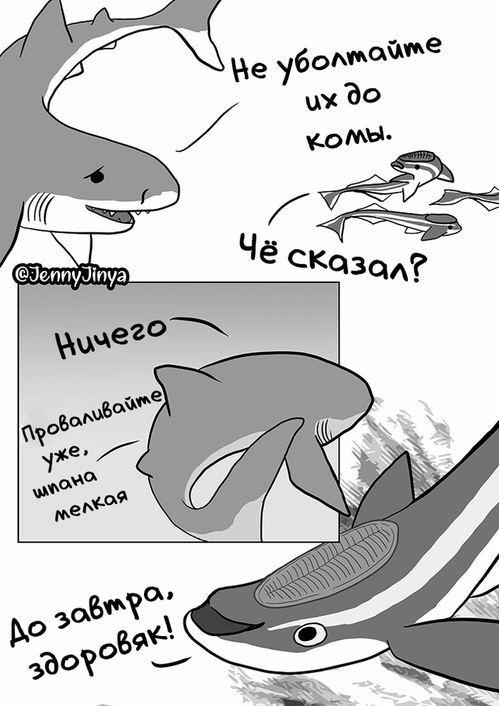 Вот что происходит когда умирает кит. Смотреть фото Вот что происходит когда умирает кит. Смотреть картинку Вот что происходит когда умирает кит. Картинка про Вот что происходит когда умирает кит. Фото Вот что происходит когда умирает кит