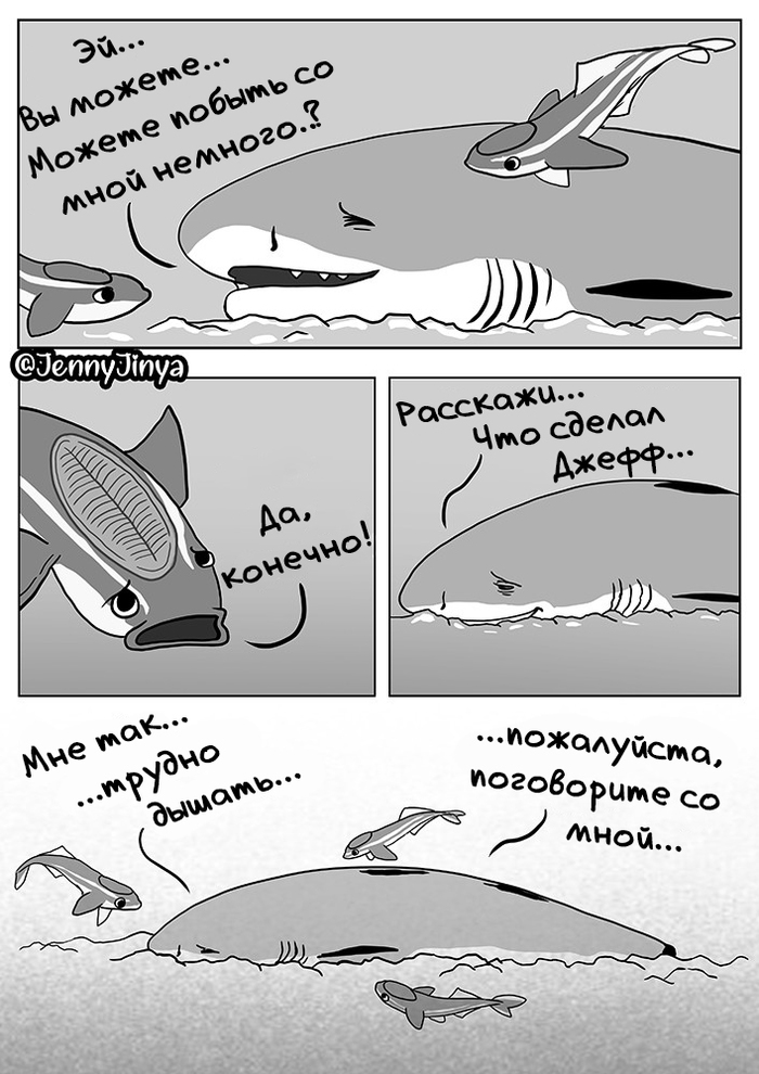 Вот что происходит когда умирает кит. Смотреть фото Вот что происходит когда умирает кит. Смотреть картинку Вот что происходит когда умирает кит. Картинка про Вот что происходит когда умирает кит. Фото Вот что происходит когда умирает кит