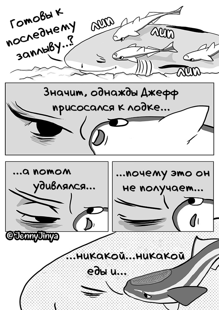 Вот что происходит когда умирает кит. Смотреть фото Вот что происходит когда умирает кит. Смотреть картинку Вот что происходит когда умирает кит. Картинка про Вот что происходит когда умирает кит. Фото Вот что происходит когда умирает кит