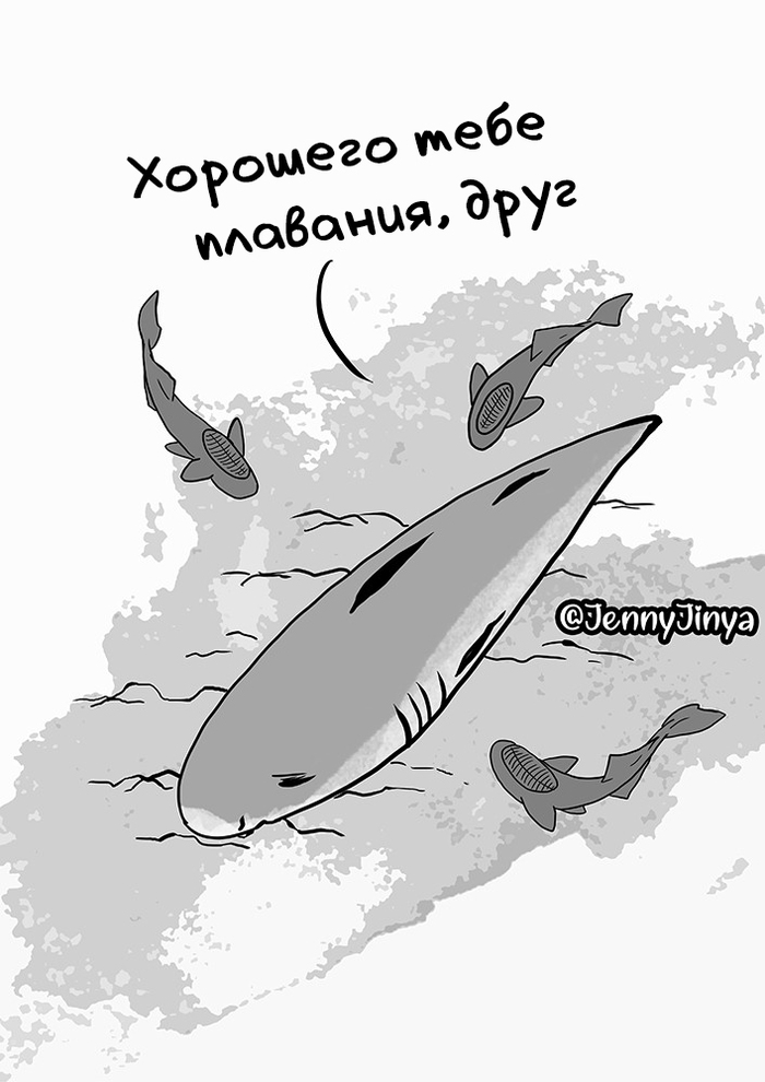 Вот что происходит когда умирает кит. Смотреть фото Вот что происходит когда умирает кит. Смотреть картинку Вот что происходит когда умирает кит. Картинка про Вот что происходит когда умирает кит. Фото Вот что происходит когда умирает кит