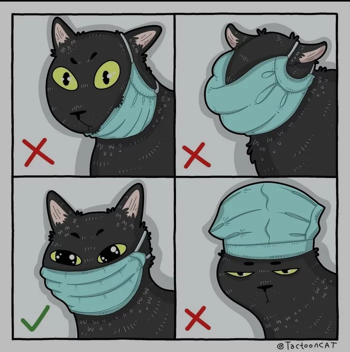 How to wear a mask correctly - Tactooncat, cat, Mask, Mask mode, Drawing, Art, Comics