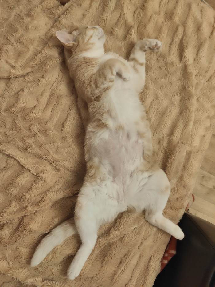 ��� � ������ ����