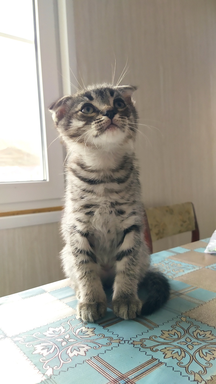 Вакцинация