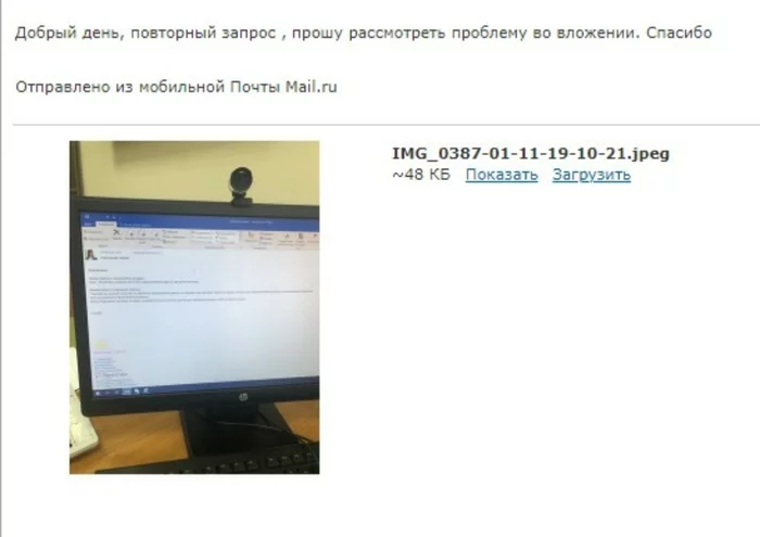 Support in Russian - My, Support service, Insurance Company, Ingenuity, Humor