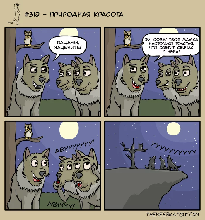 Natural beauty - Themeerkatguy, Comics, Translation, Wolf, Owl, moon, Howl, Podkol