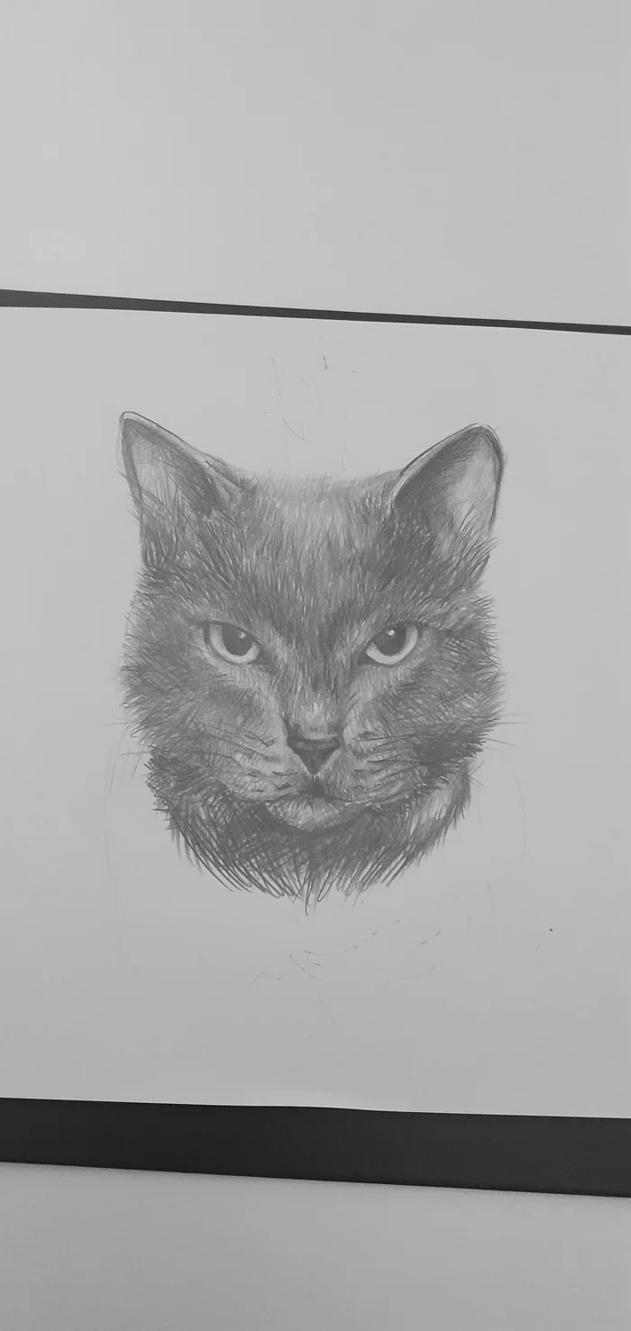 simple cat - My, cat, Art