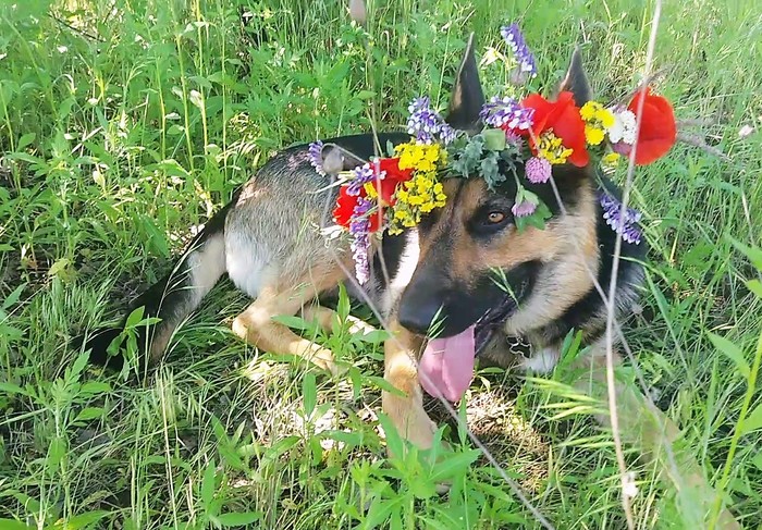 Красоты много не бывает