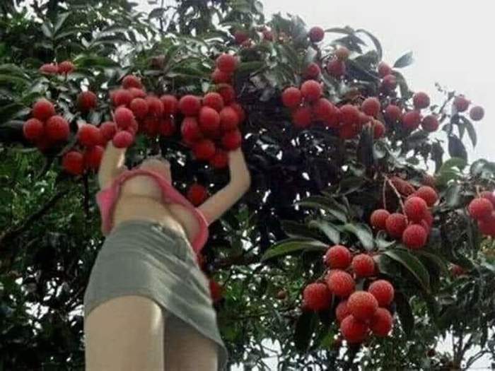 I'm looking for the name of the fruit - NSFW, Фрукты, Girl with peaches, Girls, Boobs