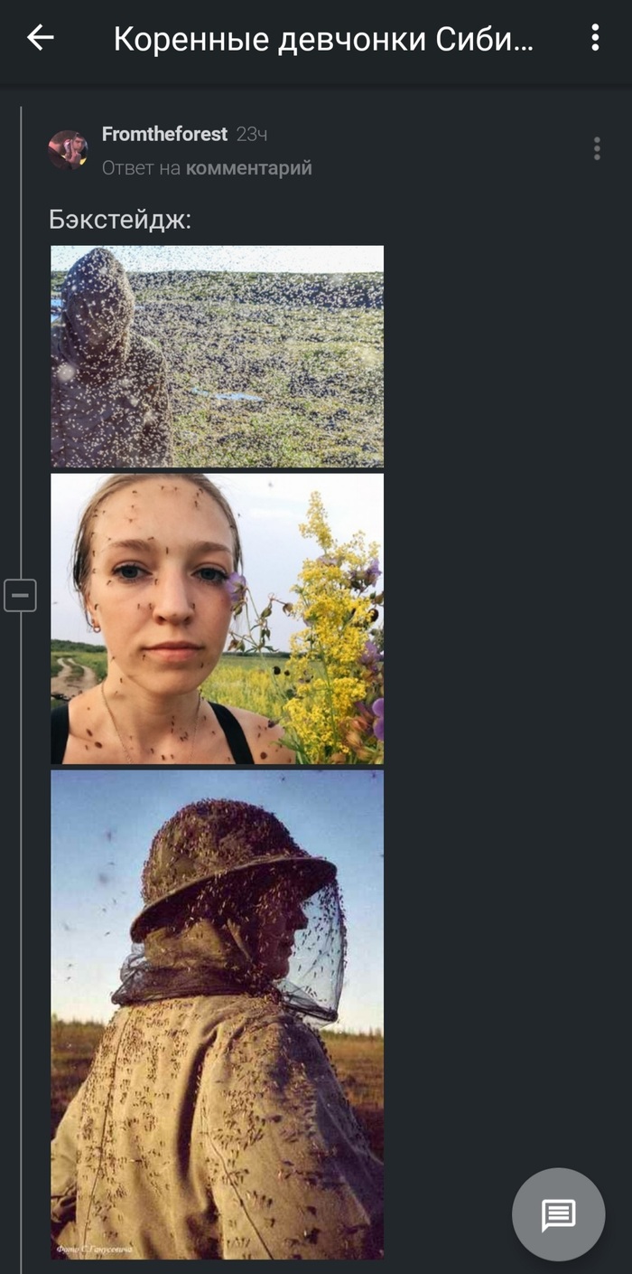 Как комарики вскрыли всю правду