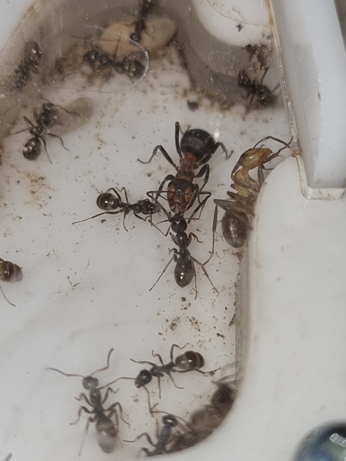  &quot;&quot; ()      (  &quot;&quot;   )