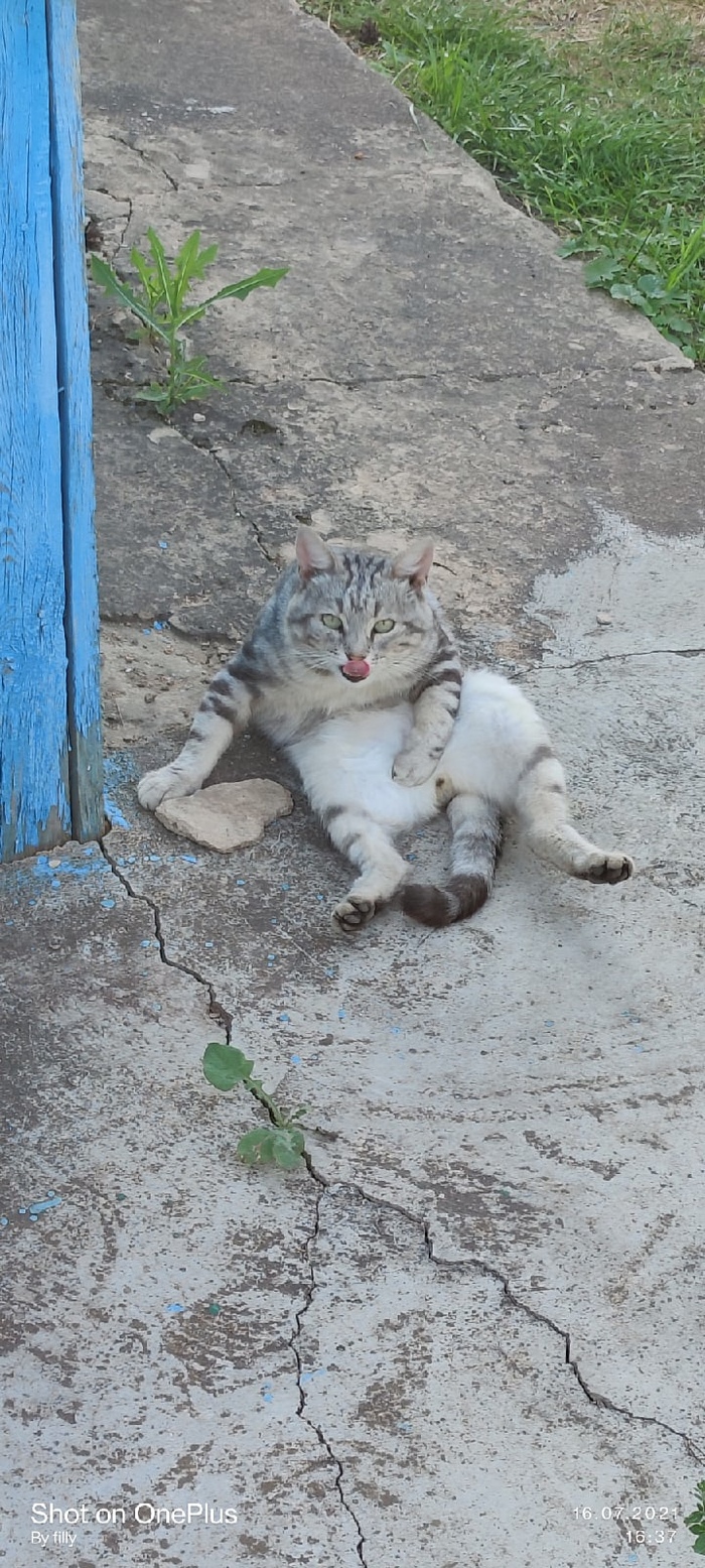  - ,    , , 