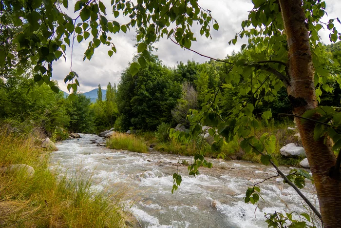 mountain river - My, River, Esentai, Almaty, The mountains, Nature, The photo