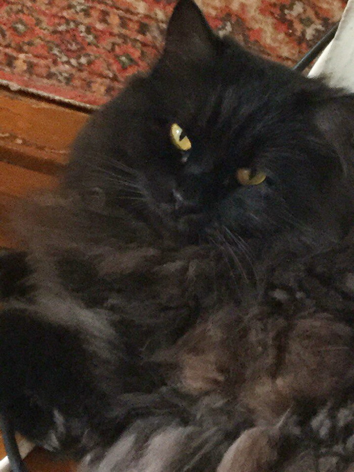 ��� ����, ����� �� ���� ��������� ������, � �� � �� ����