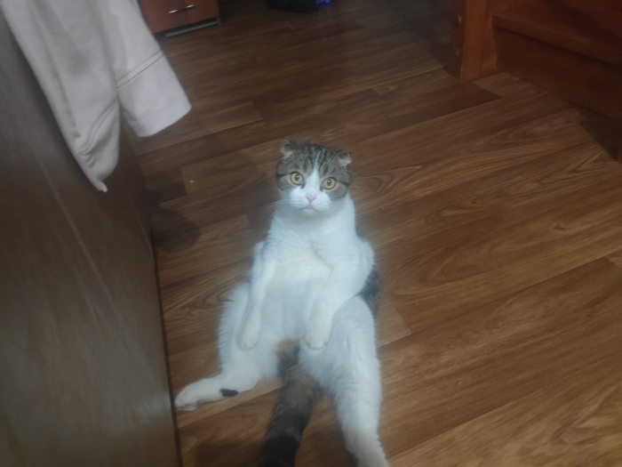   ?)))