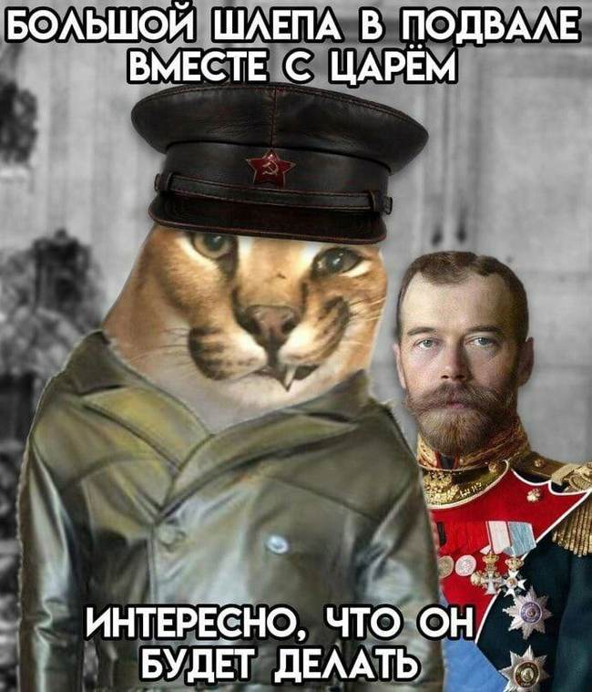 After that, Nicholas was enrolled as a martyr ... - Caracal, Picture with text, Nicholas II, Bolshevism, Absurd, Dank memes