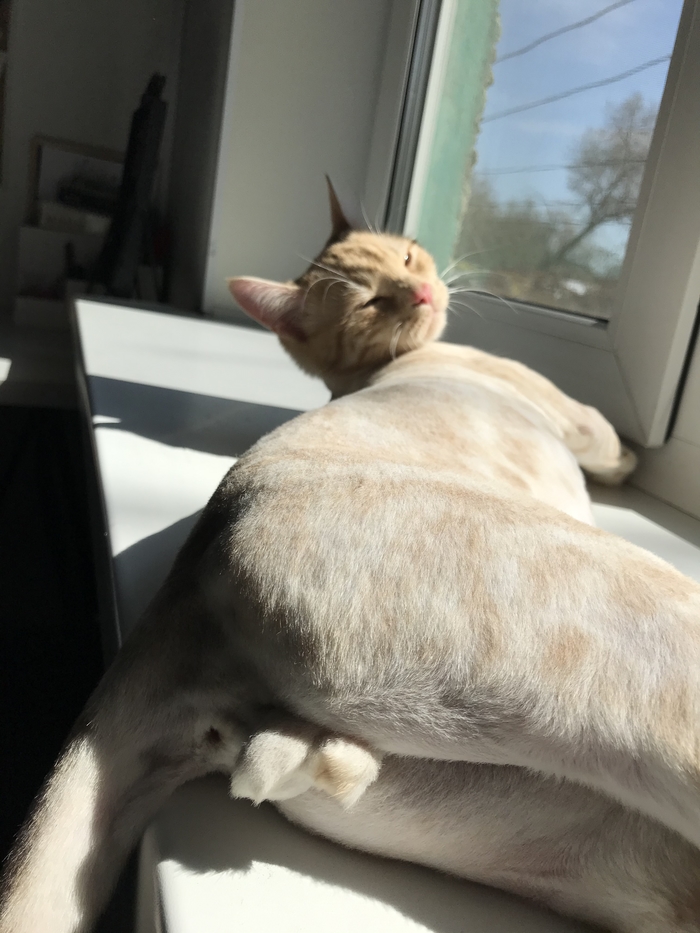 ������� ������� ���� � �����