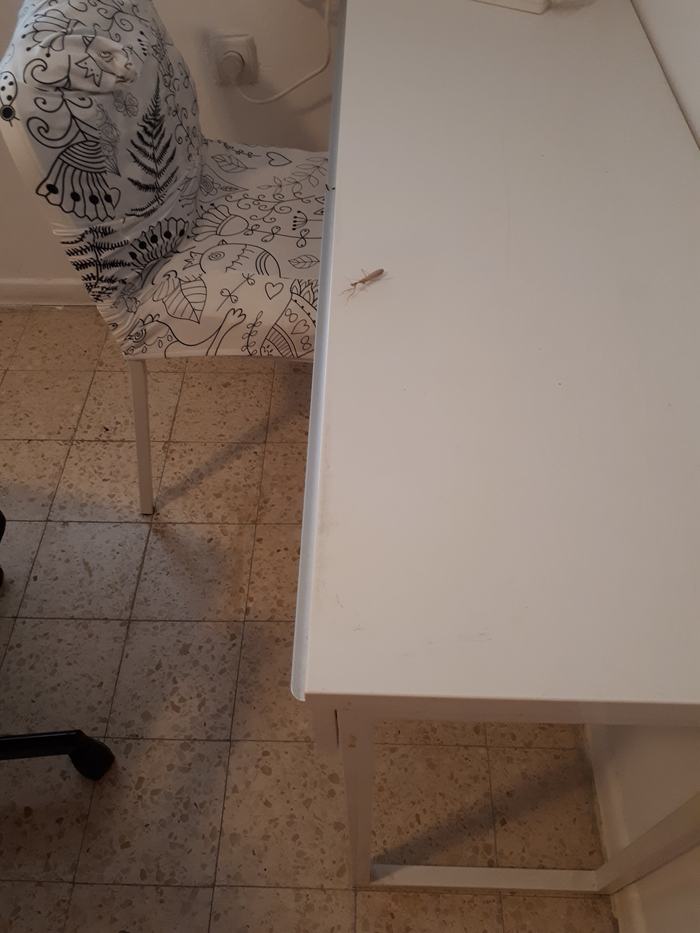   , ,  , 