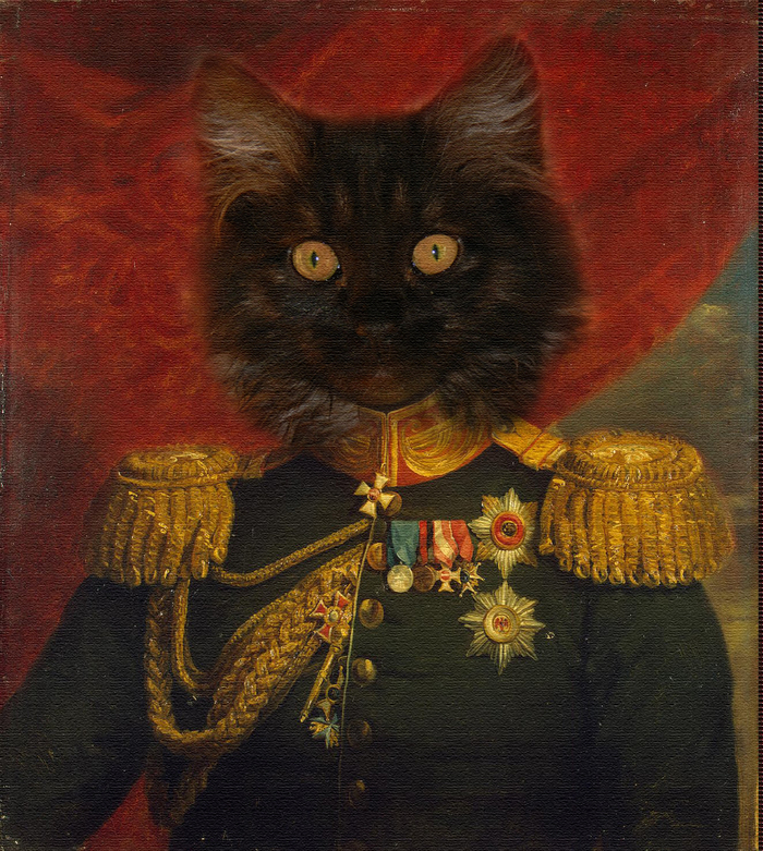 ����� ����� ��������� ������� ������ ����������