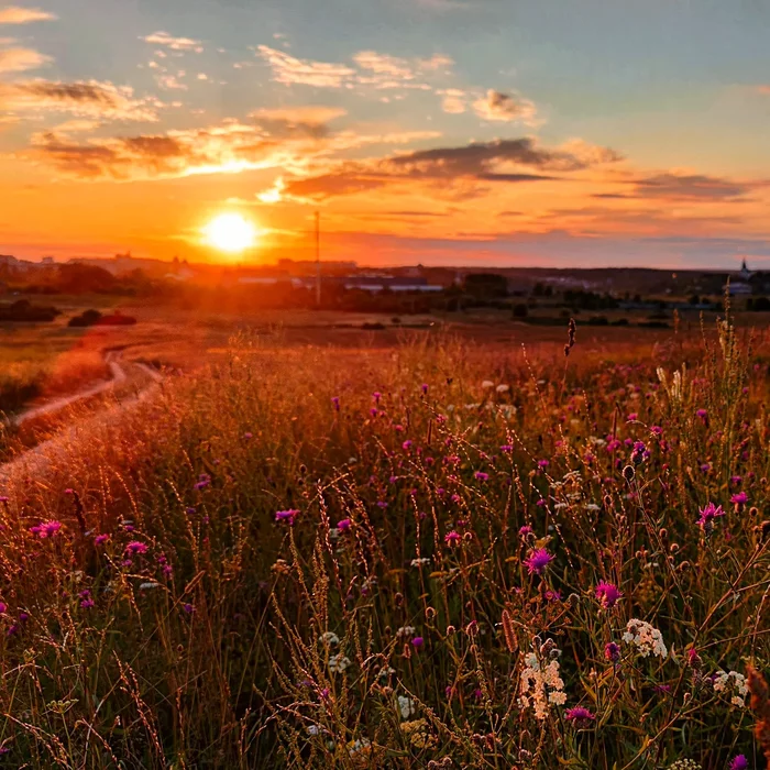 Evening view of Alexandrov - My, Mobile photography, Sunset, Native open spaces, Alexandrov