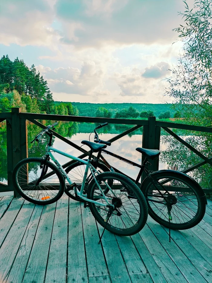 Serenity - My, A bike, Summer, Mobile photography, Relaxation