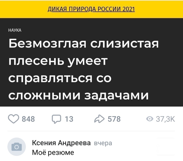 Опишите свои главные качества