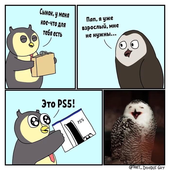 Present - Comics, Playstation 5, Owl, That_doodleguy