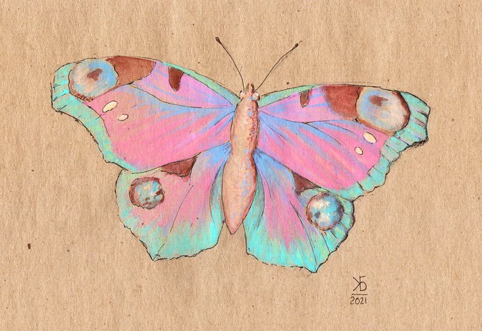 About watercolor with white (with examples of work) - My, Watercolor, Overview, Graphics, Mushrooms, Butterfly, Longpost
