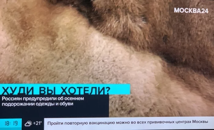 Masters of headlines on Moscow 24 TV channel - Heading, The television, Moscow 24, Vulgarity