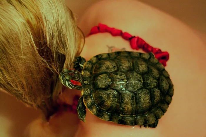 Veronica bathes with turtles - My, Turtle, Water, Bathing, Bathroom, Girls, PHOTOSESSION, Pets, Makeup, , Red, Longpost