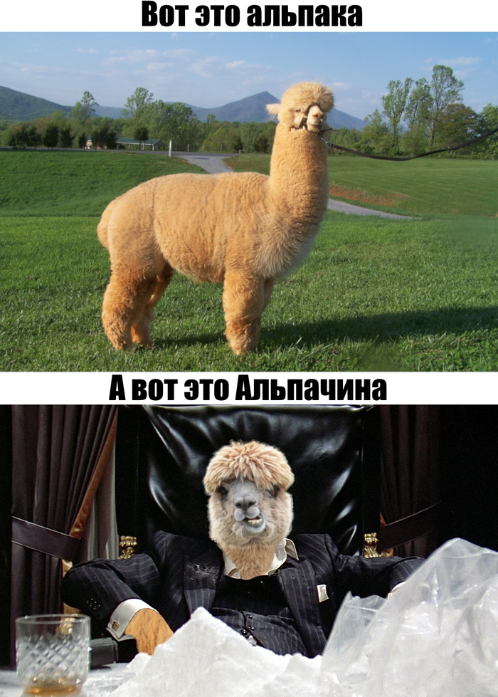 ��� ���, ��� �� ��� ��� �� ������: