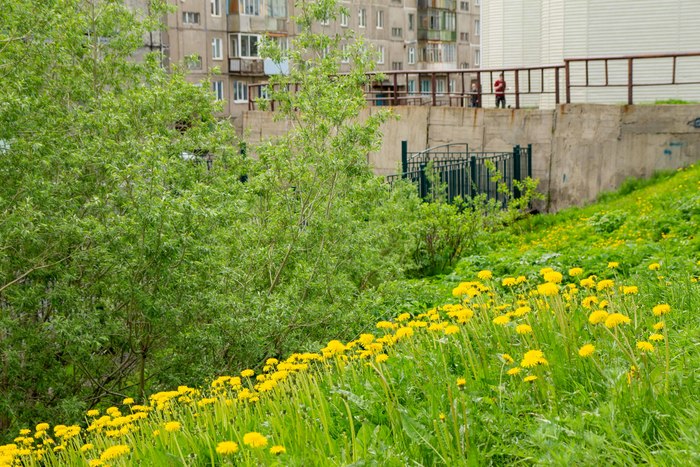 Город, где швартуются сердца... Дудинка, Таймыр, Крайний север, Красноярский край, Фотография, Видео, Длиннопост Город, где швартуются сердца... Дудинка, Таймыр, Крайний север, Красноярский край, Фотография, Видео, Длиннопост