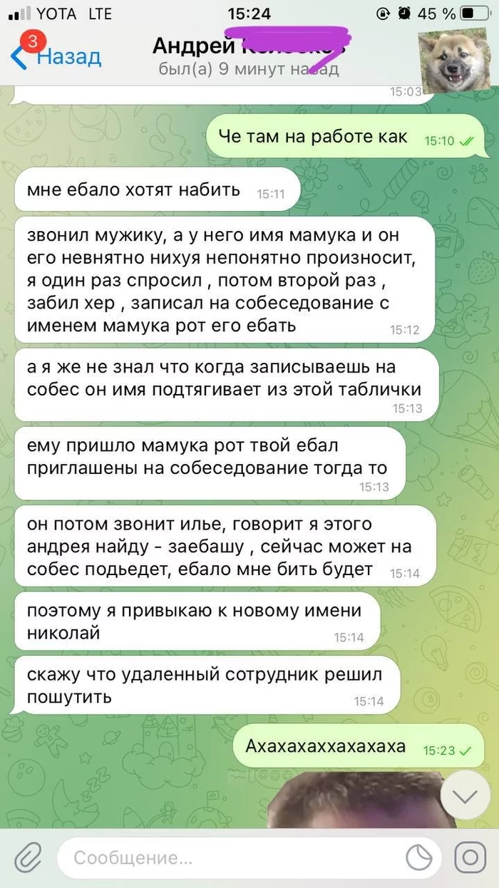 История одного HR - Моё, Собеседование, Мат, Отдел кадров, Переписка, Скриншот