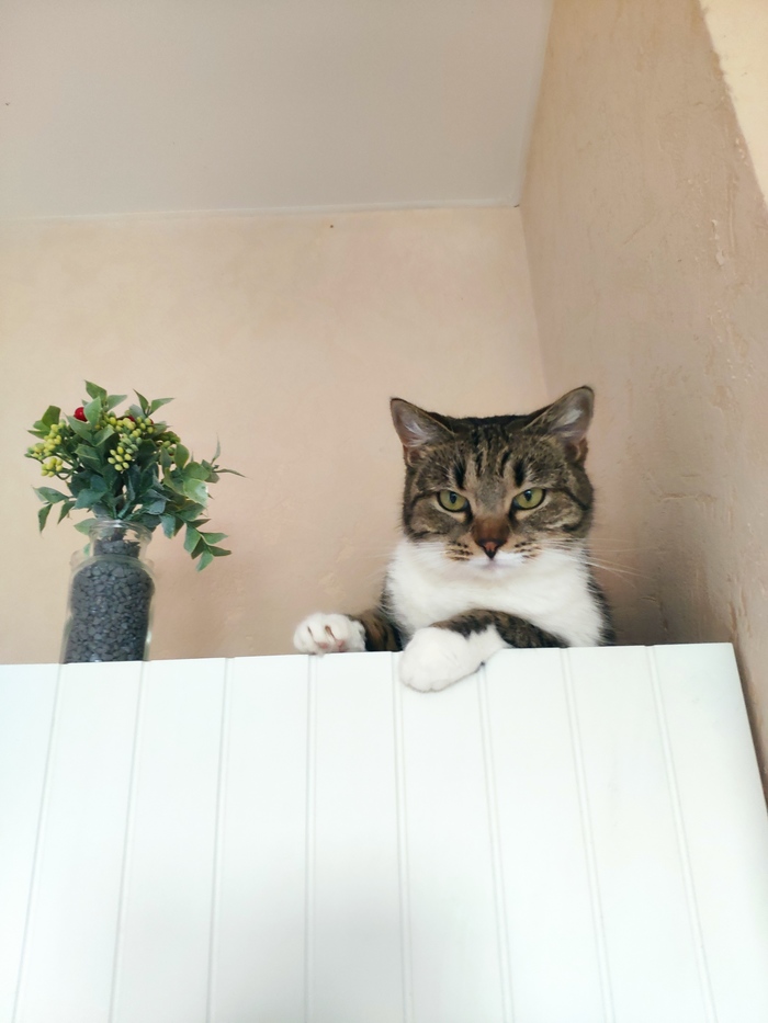 ������� ������