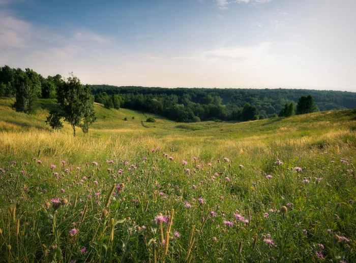 Open spaces - My, Landscape, The photo, Native open spaces, Russia, Photographer, Summer