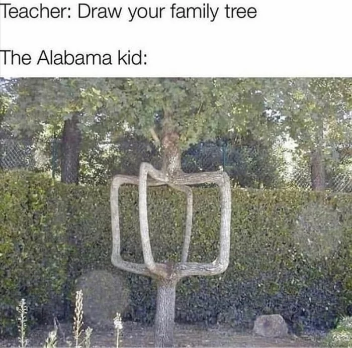 Teacher: Draw your family tree - Picture with text, Humor, Translation, Alabama, Tree, Incest